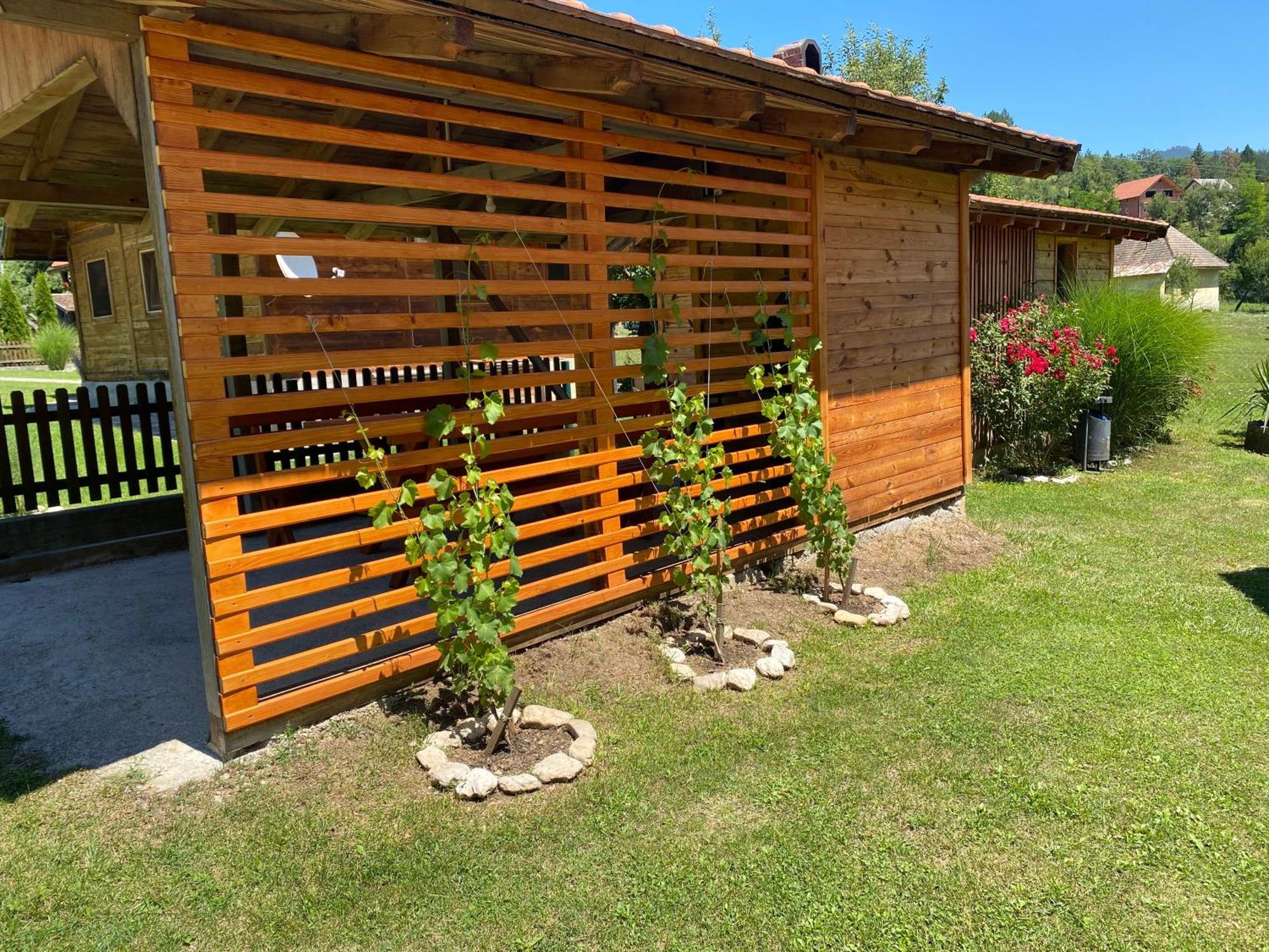 Apartmani D&S Mokra Gora Kültér fotó